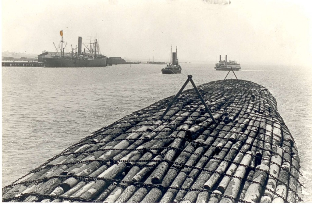 Benson_raft